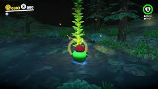 Wooded Kingdom  Moon 33 A Treasure Made from Coins  Super Mario Odyssey [upl. by Atalaya675]