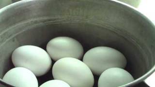 How To Make Hard Boiled Eggs Come Out Right Almost Every Time [upl. by Asatan]