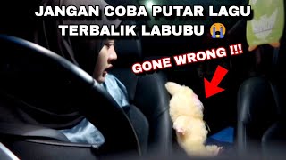 JANGAN PUTAR LAGU LABUBU TERBALIK DI TENGAH MALAM  😱 [upl. by Ninon]