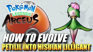 Pokemon Legends Arceus  How To Evolve Petilil Into Hisuian Lilligant  How To Get Hisuian Lilligant [upl. by Josefina]