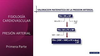 Fisiología Cardiovascular Presión arterial  Primera parte [upl. by Adelpho682]