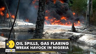 Oil spills gas flaring wreak havock in Nigerias Delta  World news  WION [upl. by Curran]