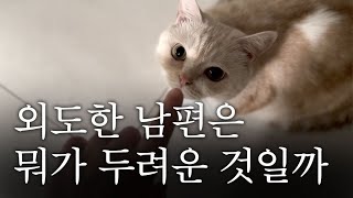 🔆 불륜을 저지른 남편은 뭐가 두려워서 계속 소송과 고소를 하는 것일까 ⛔️ 상간녀 소송 재판 과정과 게시물 삭제 소송 판결문 이야기 ❤️‍🩹 [upl. by Seligman]