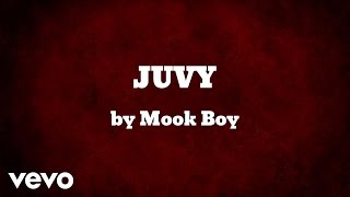 Mook Boy  JUVY AUDIO [upl. by Aniluap704]