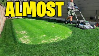 COMMON PUTTING GREENS  Back amp Back Back maintenance  More fish poop  How to get rid of mosquitos [upl. by Anivlek]