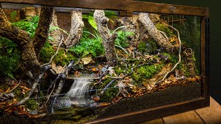 Realistic Indoor Meandering Creek Forest Biome Vivarium [upl. by Ajani964]