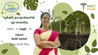 Morphology of Flowering plants  Part 1 Introduction  Types of the Root  NEET Tamil  Biology [upl. by Aggappora]