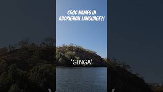 What Do Aboriginal People Call Different Crocodile Species [upl. by Ailaham]