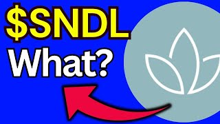 SNDL Stock sundial growers stock SNDL STOCK PREDICTIONS SNDL STOCK Analysis Sndl stock news today [upl. by Bernardine]