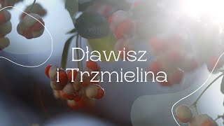 Dławisze i Trzmieliny [upl. by Ashleigh]