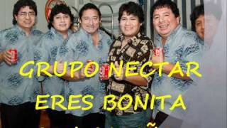 GRUPO NECTAR ERES BONITA [upl. by Atig157]