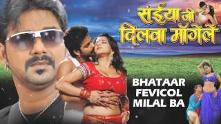 Bhataar Fevicol Milal Ba  Audio Song  Saiyan Ji Dilwa Mangelein [upl. by Arjun]