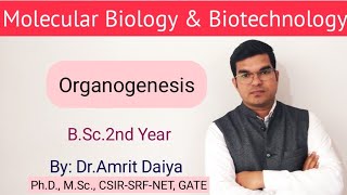 Organogenesis in PTC Hindi amp English By DrAmrit Daiya [upl. by Richard529]