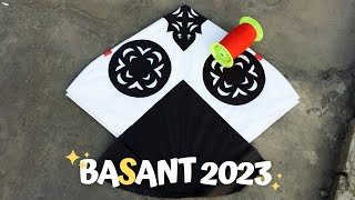 BASANT 2023  PINDI  20 Thousand kites  VLOG [upl. by Tammany]