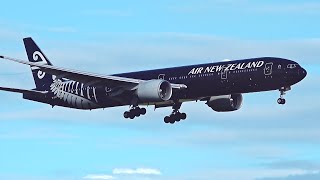 Gateway to New Zealand  Auckland Airport CLOSE UP Plane Spotting AKLNZAA [upl. by Anoif352]