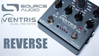 Source Audio  Ventris  Reverse Reverb  Indepth Ambient Demo [upl. by Dar]