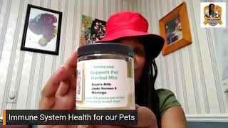 Hot Goats Milk and Moringa help pets Immune systems [upl. by Garihc]