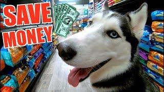 Is Pet Supermarket The CHEAPEST Pet Store [upl. by Leahcar]