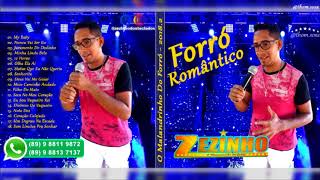 Zezinho Dos Teclados  CD Forró Romântico 2018 O Malandrinho Do Forró [upl. by Deana]