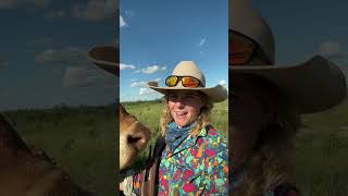 agriculture aussiecowgirl australianoutback [upl. by Chouest]