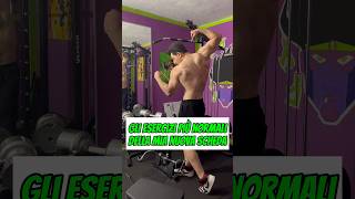 Nuovi esercizi bodybuilding [upl. by Samal]