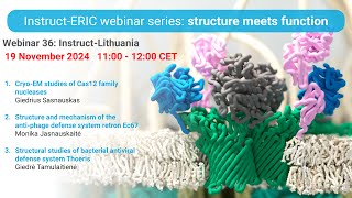 Structure Meets Function 36  InstructERIC Lithuania [upl. by Korella]