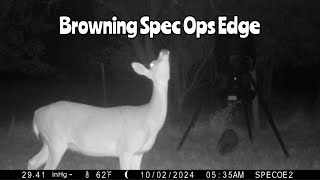 Deer Feeder 2 Browning Spec Ops Edge Trail Cam Oct 13 2024 [upl. by Keifer]