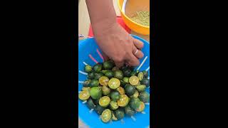 Cutting Calamansi fruit to make juice [upl. by Enylorac]