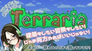 【Terrariaテラリア】地下、ちょっと行ってみっか【30】 [upl. by Maighdiln]