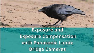 Exposure and Exposure Compensation in Panasonic Bridge Cameras [upl. by Litnahs]