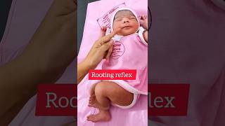 Rooting reflex in New born newborn ytshorts [upl. by Zweig]