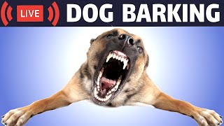 Dog Barking Sound  Dogs Barking Live Bark [upl. by Ert]