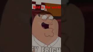 Family guy the bird is the world music familyguymemes [upl. by Magnusson800]