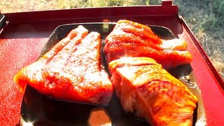 WORLDS GREATEST SALMON RECIPES [upl. by Ahsea]