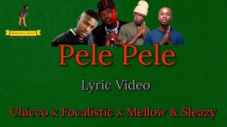 Pele Pele  Chicco Focalistic And Mellow amp Sleazy Lyric Video pelepele focalistic [upl. by Enneiluj]