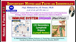 IMPORTANT NOTES and FACTS on IMMUNOLGY  Immune System Organs Part five [upl. by Buiron726]