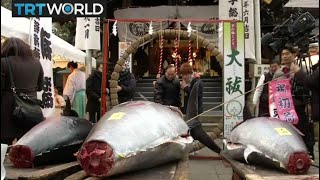 Money Talks Japan’s Tsukiji fish market holds final tuna auction [upl. by Tavia787]