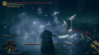 Elden Ring DLC  Count Ymir Mother of Fingers  Boss Fight amp Drops [upl. by Ennasirk]