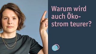 Wie funktioniert die Strombörse Merit Order und Preisbildung [upl. by Pelagias]