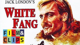 White Fang  Full Movie by FilmampClips [upl. by Vevay517]