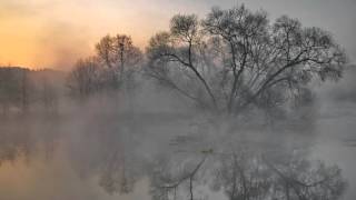 Nathan Milstein  Vitali  Chaconne in G minor [upl. by Adnaram]