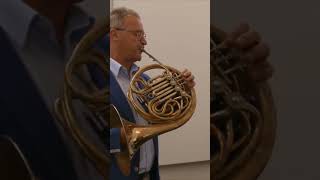 Canon in D horn shorts music [upl. by Gardal]