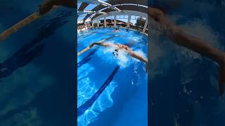 nuoto swimming swimmers competitiveswimming nuotoagonistico swimmingpool butterfly delfino [upl. by Dorr]