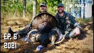 2021 EP 6 SUNRISE SERVICE w GOBBLERS Turkey Hunting in Alabama Pines [upl. by Sonitnatsnoc]