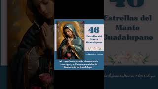 2346 🌟📿Hoy pedimos a Mi Guadalupe por todas las personas que toman el volante para salir a trabajar [upl. by Eirolam]