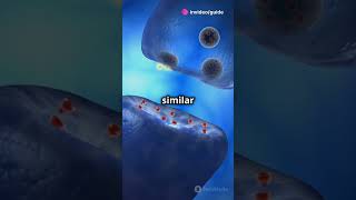 Cell Signalling Explained  science biology knowledge facts shorts shortsvideo shortsfeed [upl. by Aramahs]