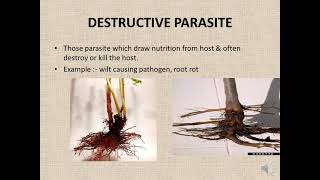 PARASITISM amp ITS TYPE [upl. by Saimerej394]