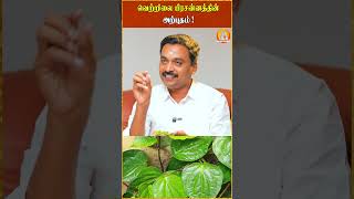 வெற்றிலை பிரசனத்தின் அற்புதம் avinasijothilingam prasannam [upl. by Lenoel877]