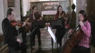 Pachelbels Canon in D for String Quartet [upl. by Anaidiriv]