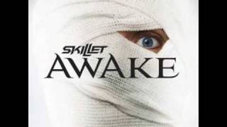 Skillet  Its Not Me Its You awake 2009 [upl. by Nyl]